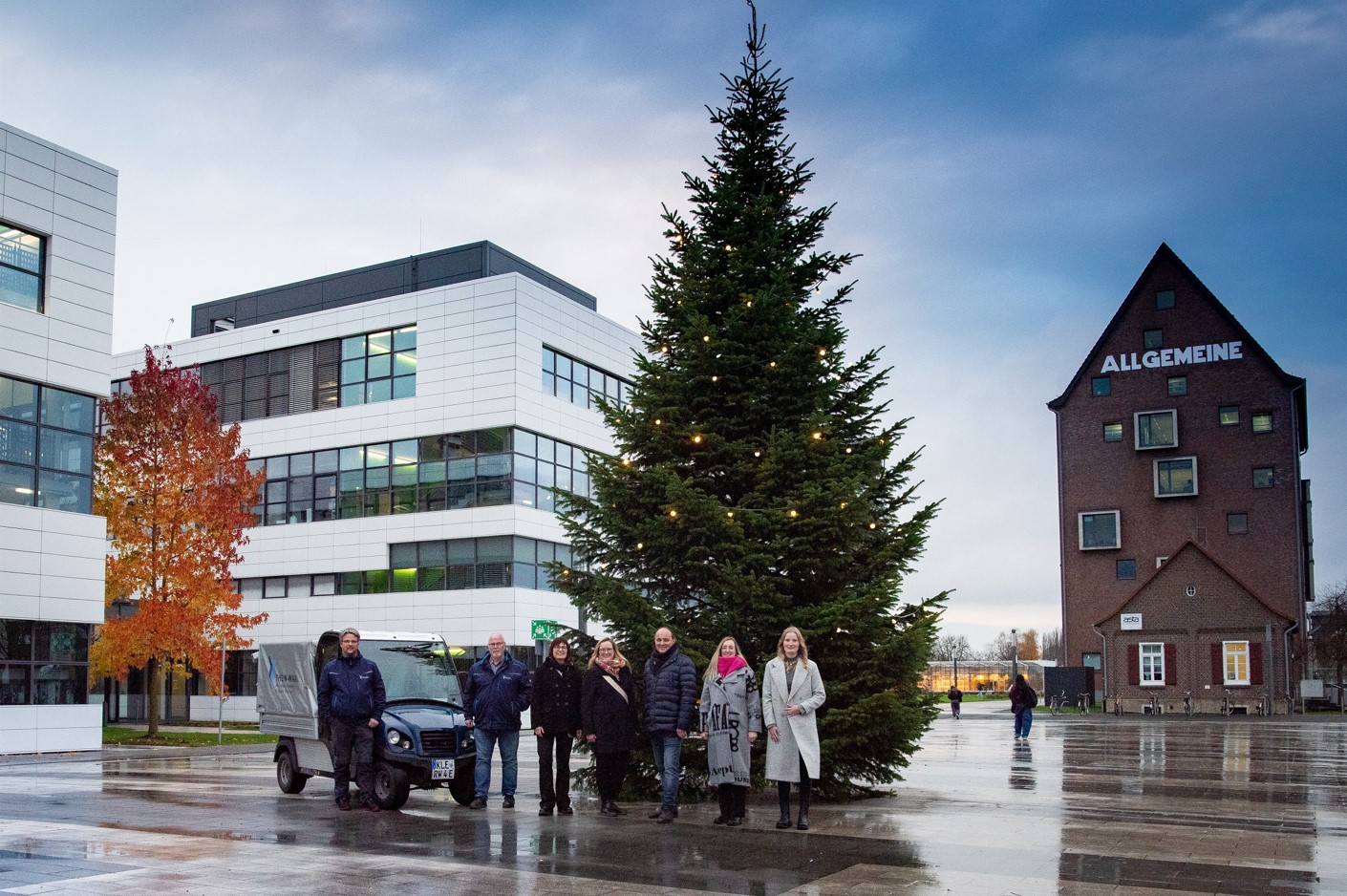 Weihnachtsbaum PI